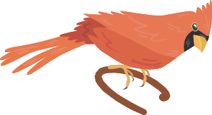 Cardinal BnB